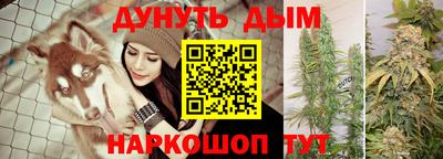индика Бузулук